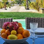 فيلة Modern Design *