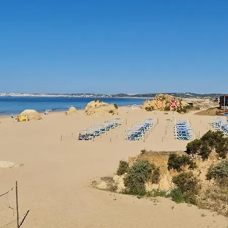 Modern Design 阿尔布费拉