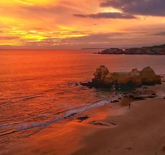 Modern Design Villa *